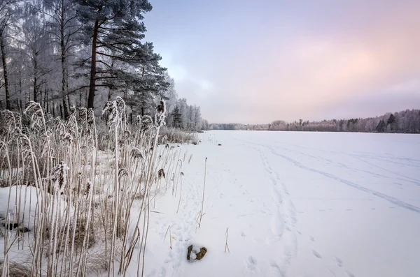 Pôr do sol nublado de inverno sobre o lago congelado — Fotografia de Stock