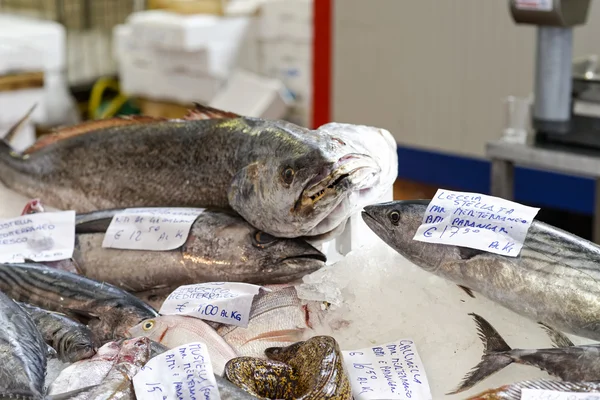 Farbige Fische auf dem Markt — Stockfoto