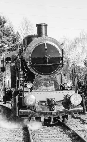 Speiza Buğulanmış Tren Lokomotifinin Ayrıntıları — Stok fotoğraf