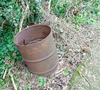 Ormandaki eski paslı fıçı