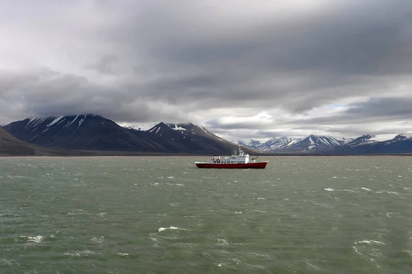 Summer Arctic Spitsbergen — Stock Photo, Image