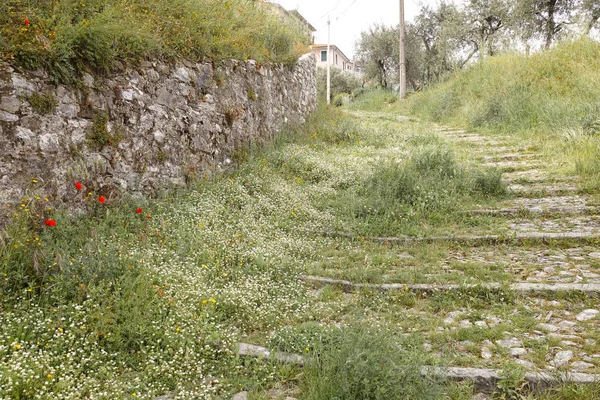 Svart Och Vitt Foto Vezzano Medeltida Nära Spezia — Stockfoto