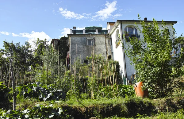 Gamla huset — Stockfoto