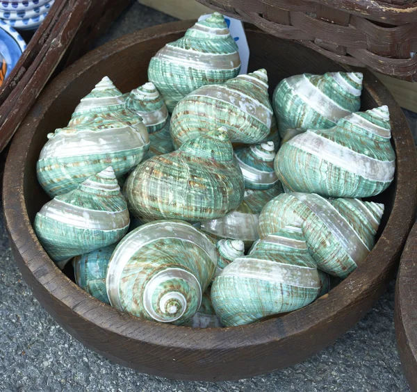 Decoratieve shell op de markt — Stockfoto