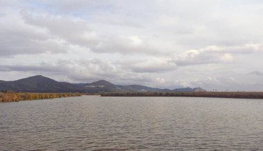 Toskana 'da harika bir köy. Puccini Gölü manzarası, Puccini Kulesi, Toskana, İtalya