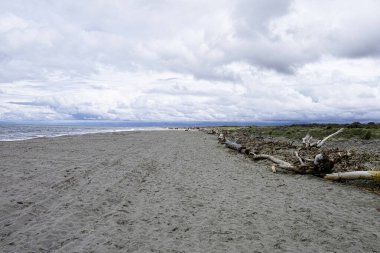 Italyan kumsalında pitoresk görünüm Marina di Vecchiano yakın Pisa, Toskana Italya