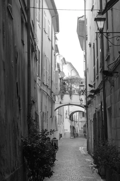 Sarzana un hermoso bostezo — Foto de Stock