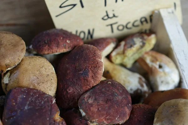 Boletus edulis en un mercado —  Fotos de Stock