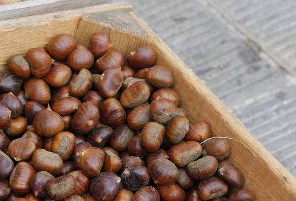 Chestnut at market — Stock Photo, Image