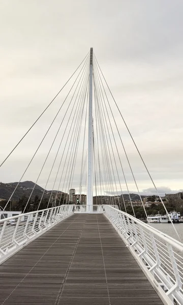 Un puente colgante — Foto de Stock