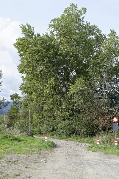 Naturpark i Italien - Stock-foto