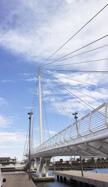 Detalhe Ponte Suspensa Cidade Spezia — Fotografia de Stock