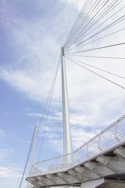 Detalle Puente Colgante Ciudad Spezia — Foto de Stock