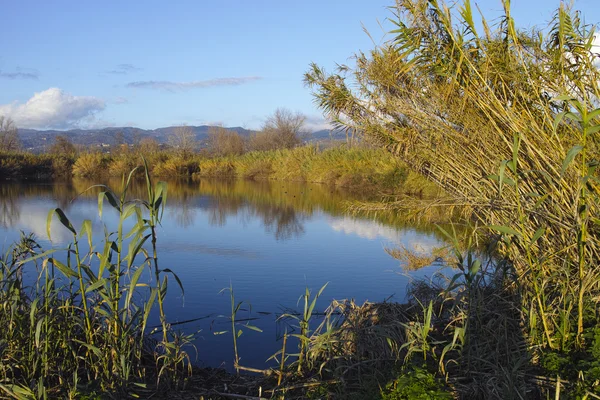 Bozzi saudini ein kleiner see in sarzana — Stockfoto