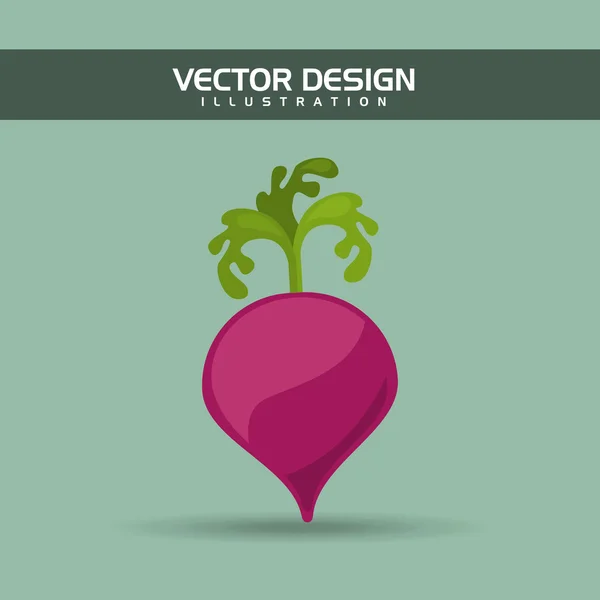 Diseño de alimentos vegetarianos — Vector de stock