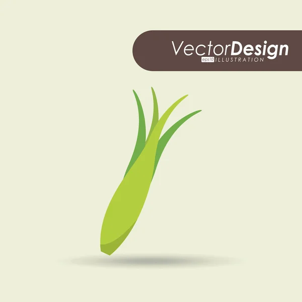 Diseño de alimentos vegetarianos — Archivo Imágenes Vectoriales