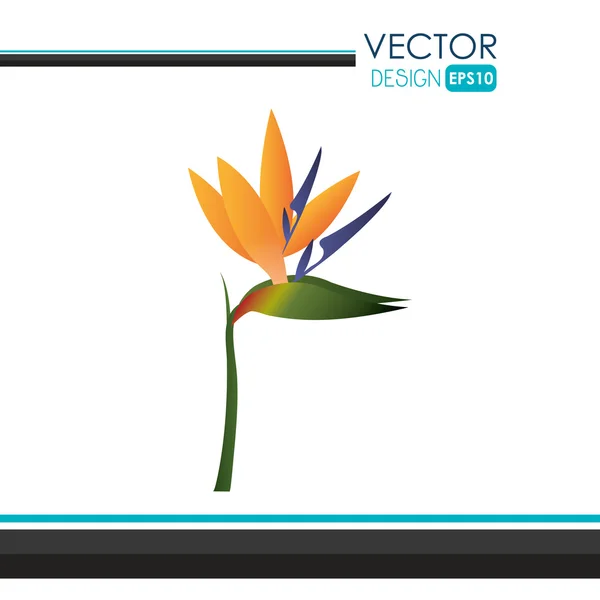 Design de ícone de flor — Vetor de Stock