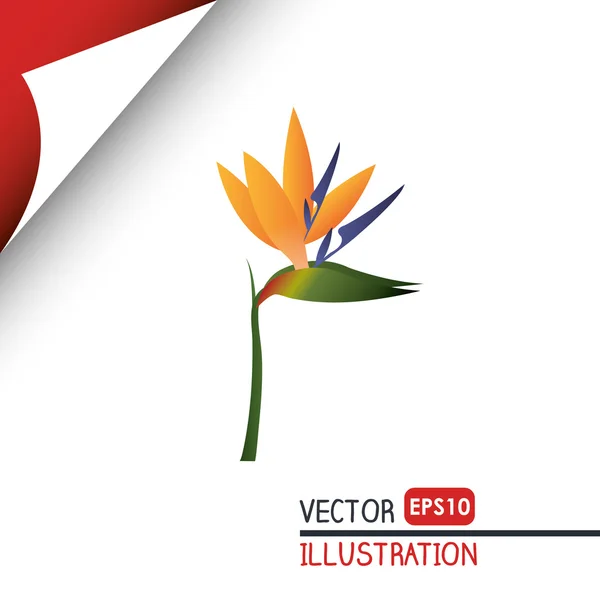 Design de ícone de flor — Vetor de Stock