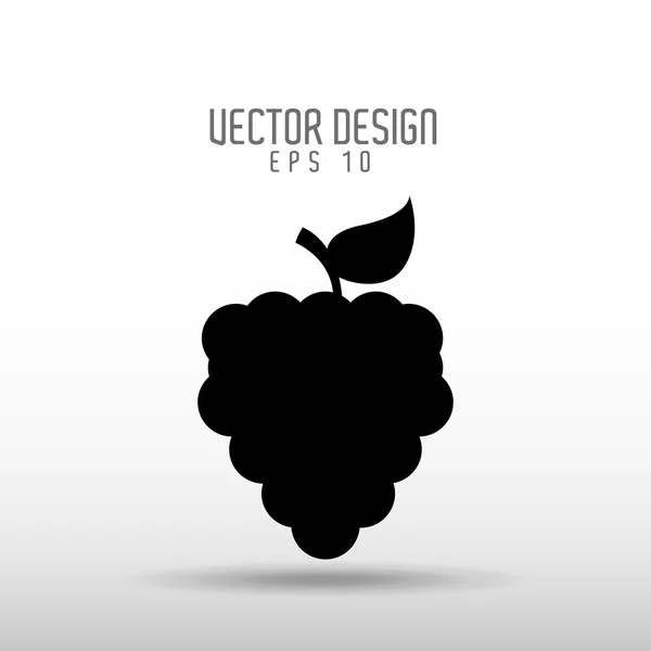 Delicioso diseño de frutas — Vector de stock