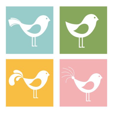 kuşlar gövde tasarımı