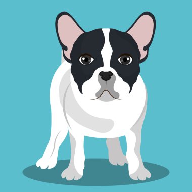 Bulldog ırkı tasarım