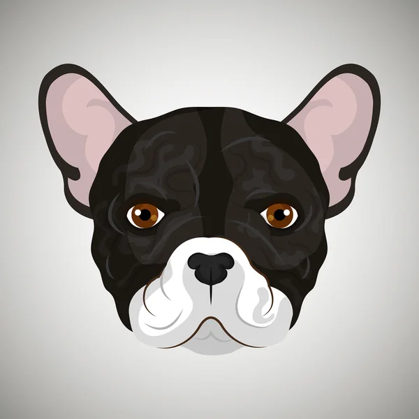 Raça bulldog design — Vetor de Stock