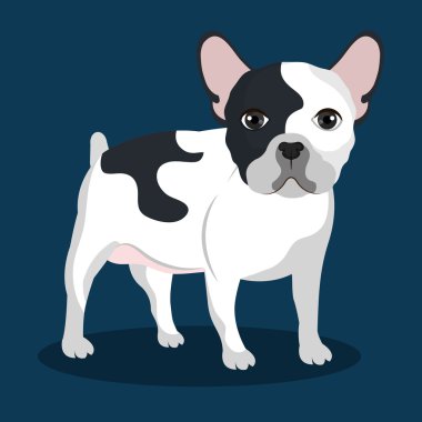 Bulldog ırkı tasarım