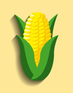 sağlıklı gıda tasarımı