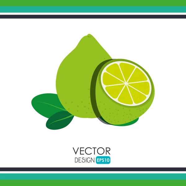 Diseño de fruta fresca — Vector de stock