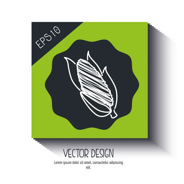 Diseño de alimentos vegetarianos — Vector de stock