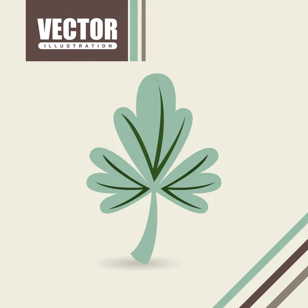 Corainder leaf design — Stock vektor