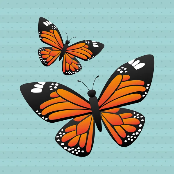 Изолированный дизайн бабочки — стоковый вектор