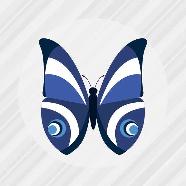 Schmetterling isoliertes Design — Stockvektor