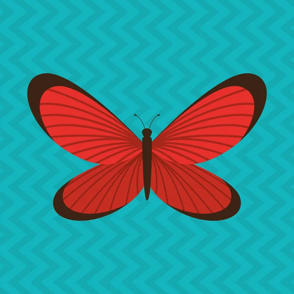 Mariposa diseño aislado — Vector de stock