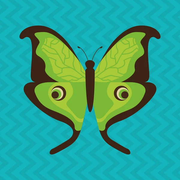 Butterfly isolerade design — Stock vektor