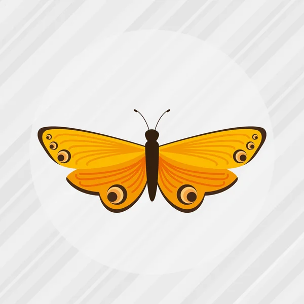 Butterfly geïsoleerde ontwerp — Stockvector
