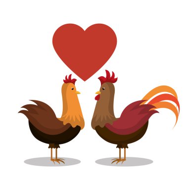 çiftlik taze tasarım