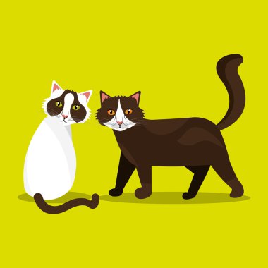 şirin kedi tasarım 