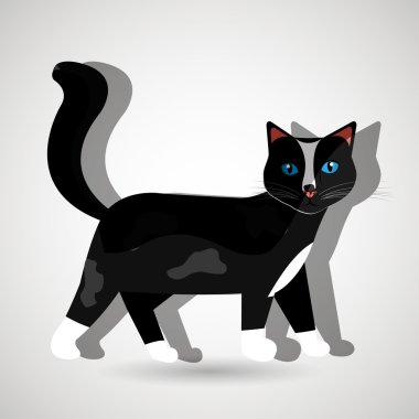 şirin kedi tasarım 