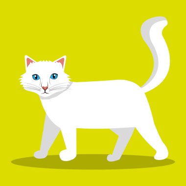 şirin kedi tasarım 