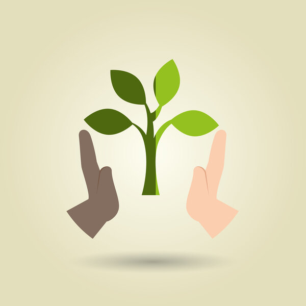 Экологичный дизайн
