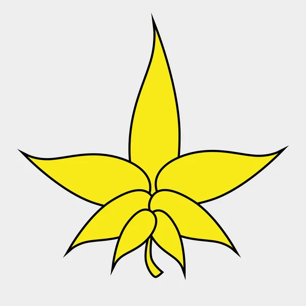 잎 아이콘 디자인 — 스톡 벡터
