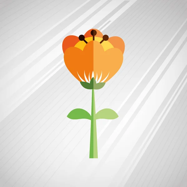Vacker blomma design — Stock vektor