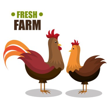 çiftlik taze tasarım