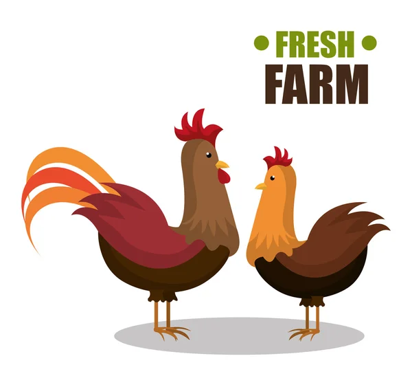 Farm fresh design — Stock Vector