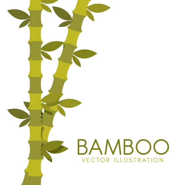 Bambuspflanzendesign — Stockvektor
