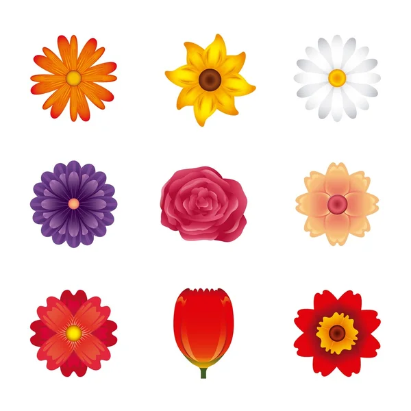 Diseño de decoración floral — Vector de stock