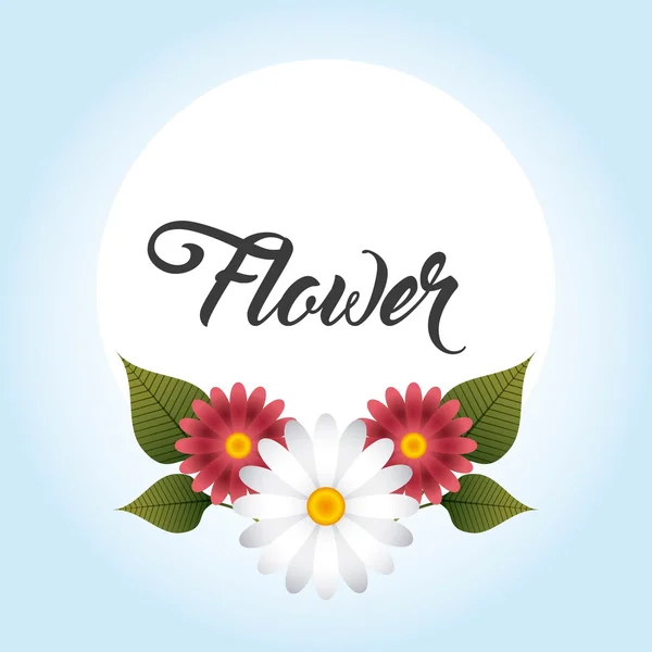 Diseño de decoración floral — Vector de stock