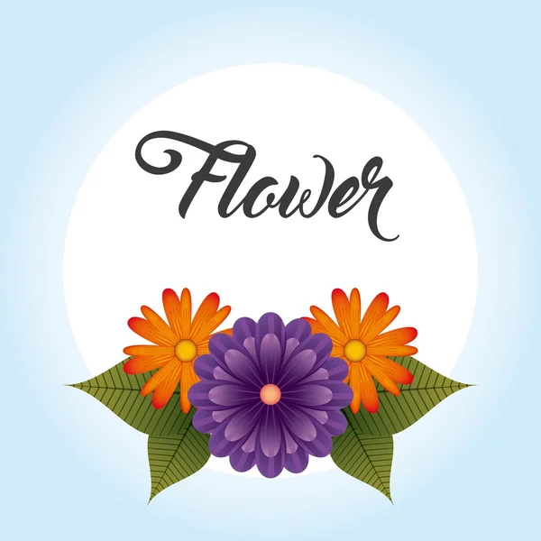 Florale decoratie ontwerp — Stockvector