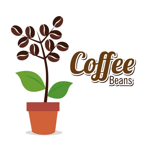 Nydelig kaffedesign – stockvektor